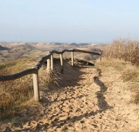Waves * Egmond aan Zee