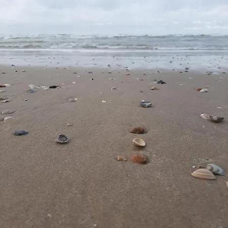 Vakantiehuis Waves Egmond aan Zee