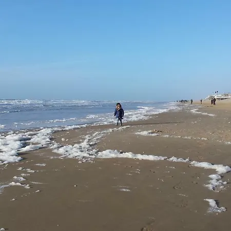 Waves