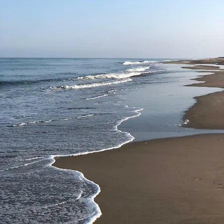 Waves Egmond aan Zee