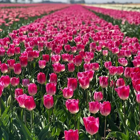 Дом отдыха Waves *