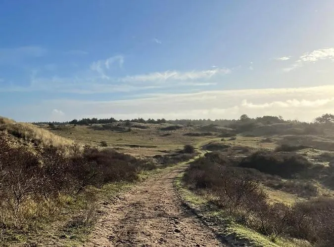 Waves * Egmond aan Zee