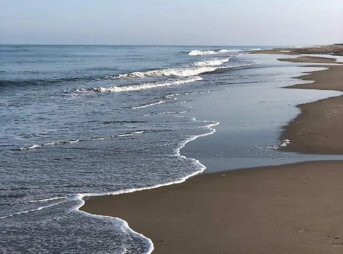 Waves Egmond aan Zee