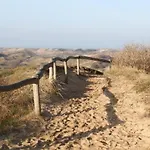 Waves * Egmond aan Zee