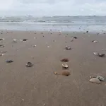 Σπίτι διακοπών Waves Egmond aan Zee