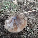 Waves * Egmond aan Zee