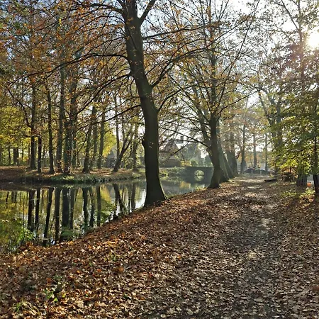 Waves Egmond aan Zee
